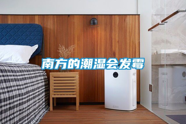 南方的潮湿会发霉