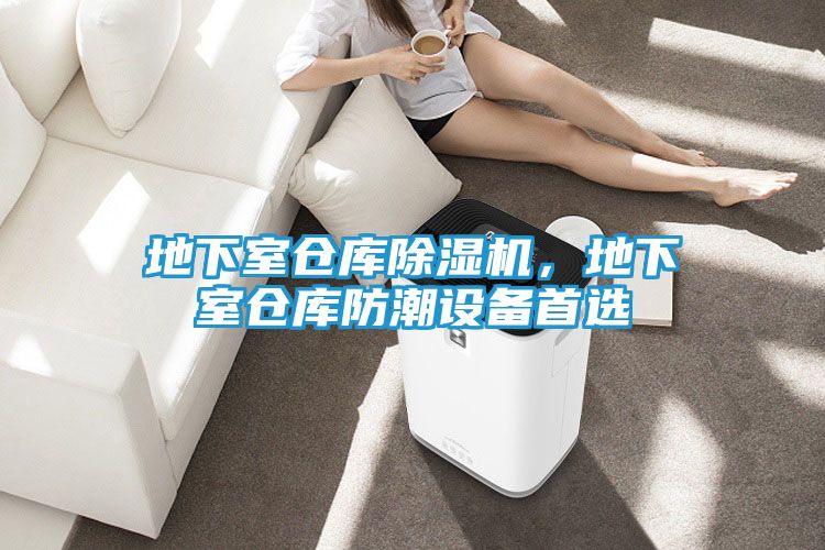 地下室仓库除湿机,地下室仓库防潮设备首选