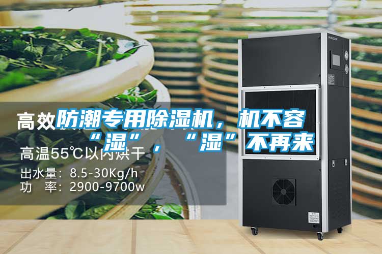 防潮专用除湿机，机不容“湿”，“湿”不再来