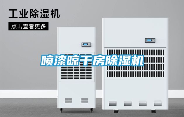 喷漆晾干房除湿机