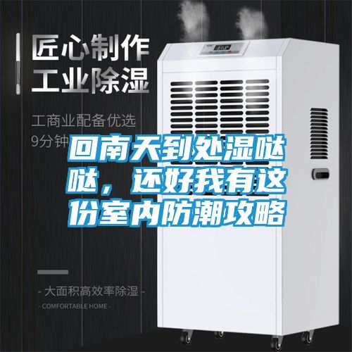 回南天到处湿哒哒，还好我有这份室内防潮攻略