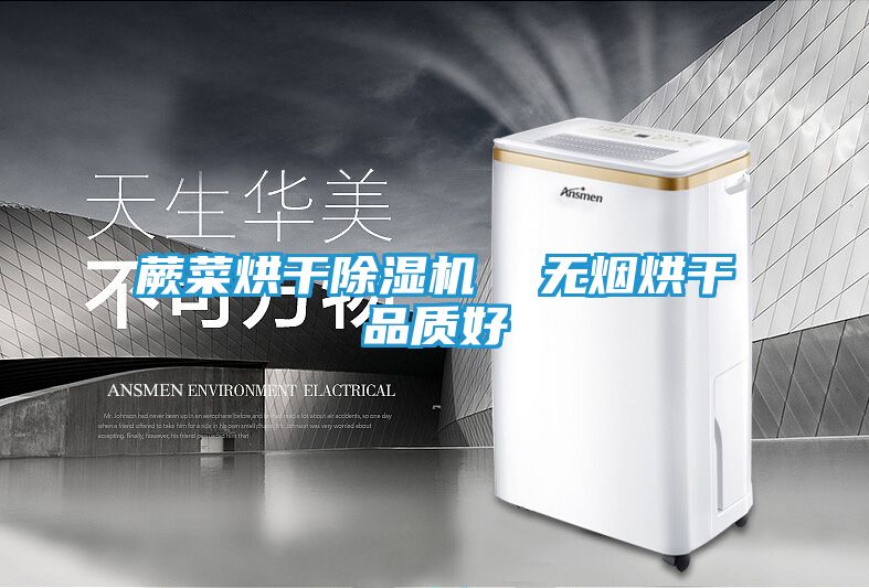 蕨菜烘干除湿机 无烟烘干品质好