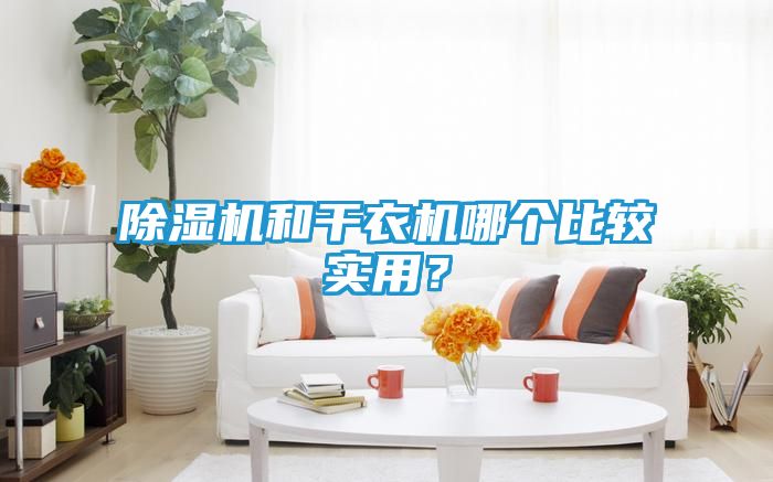 除湿机和干衣机哪个比较实用？