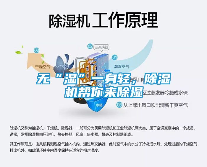 无“湿”一身轻，除湿机帮你来除湿