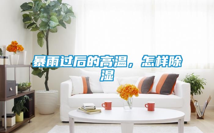 暴雨过后的高温，怎样除湿