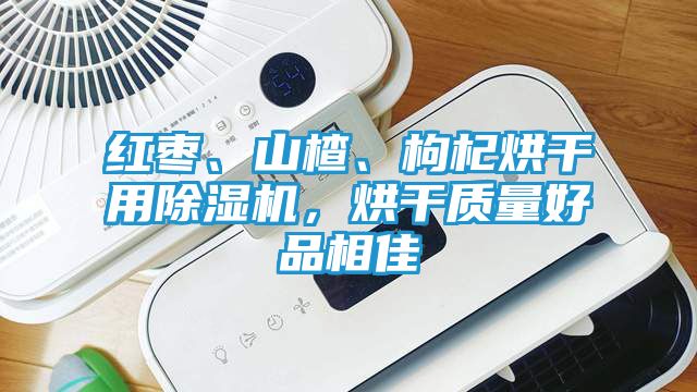 红枣、山楂、枸杞烘干用除湿机，烘干质量好品相佳