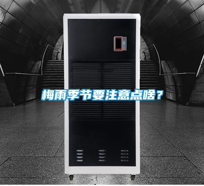 梅雨季节要注意点啥?