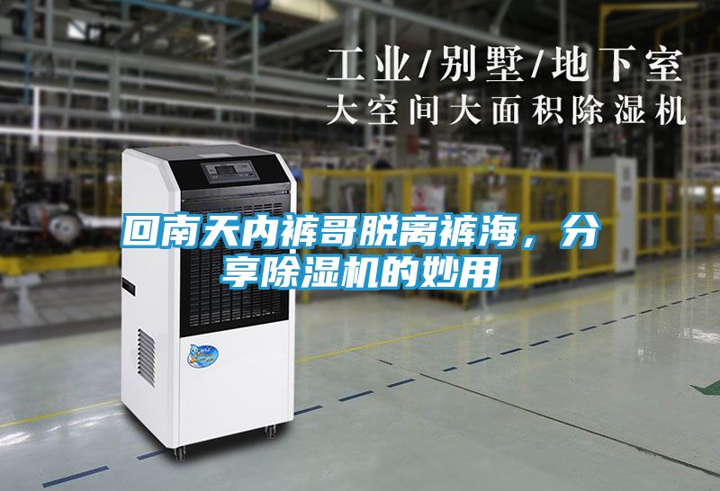 回南天内裤哥脱离裤海，分享除湿机的妙用