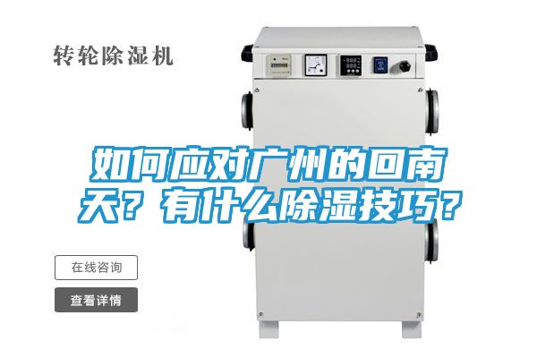 如何应对广州的回南天？有什么除湿技巧？