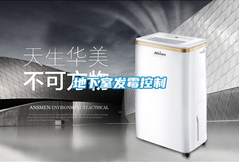 地下室发霉控制