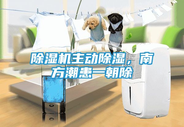除湿机主动除湿，南方潮患一朝除