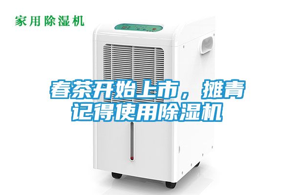 春茶开始上市,摊青记得使用除湿机