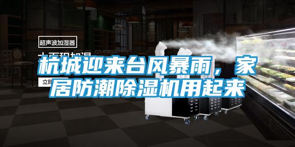 杭城迎来台风暴雨,家居防潮除湿机用起来