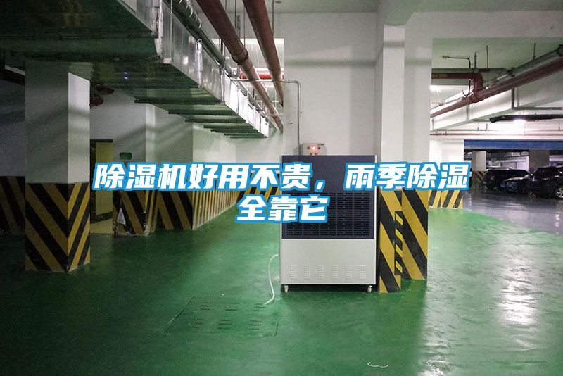 除湿机好用不贵，雨季除湿全靠它