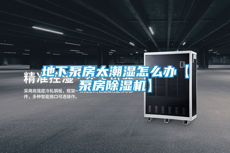 地下泵房太潮湿怎么办【泵房除湿机】