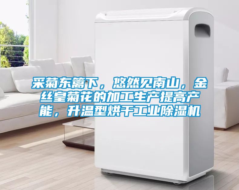 采菊东篱下，悠然见南山，金丝皇菊花的加工生产提高产能，升温型烘干工业除湿机