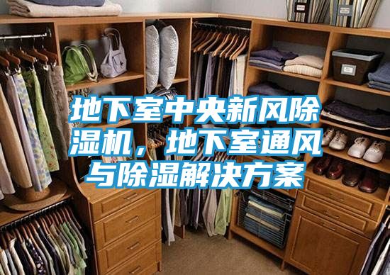 地下室中央新风除湿机,地下室通风与除湿解决方案