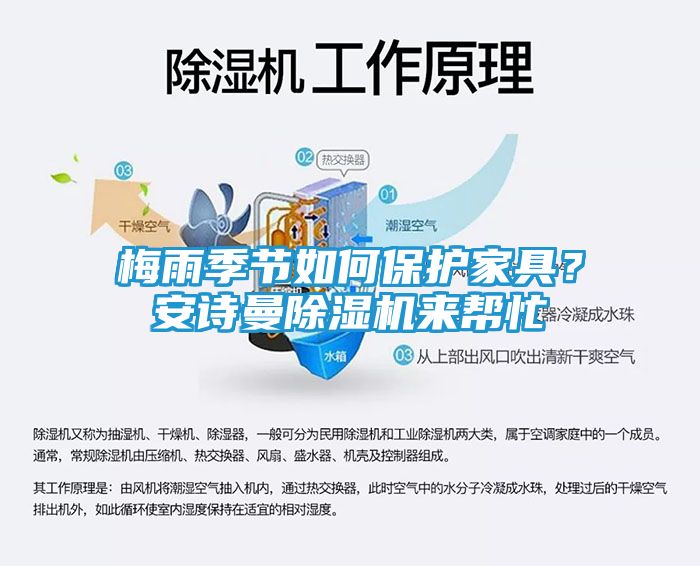 梅雨季节如何保护家具？安诗曼除湿机来帮忙