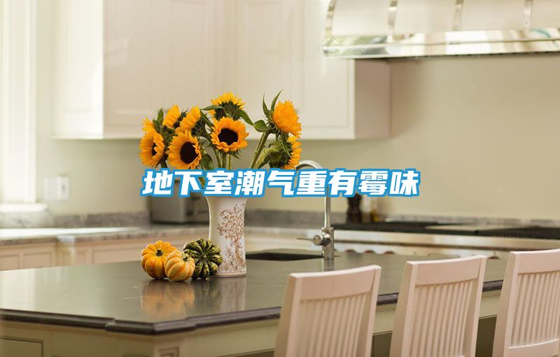 地下室潮气重有霉味