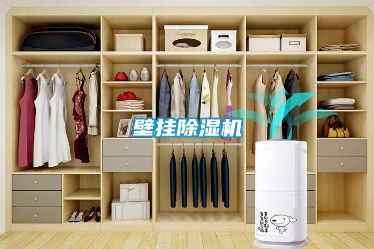 壁挂除湿机