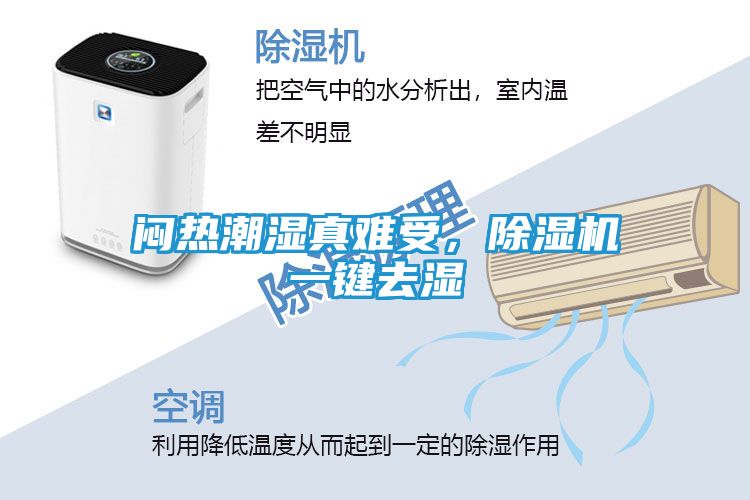 闷热潮湿真难受，除湿机一键去湿