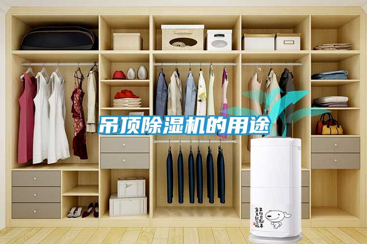 吊顶除湿机的用途