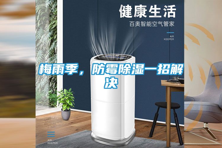 梅雨季，防霉除湿一招解决