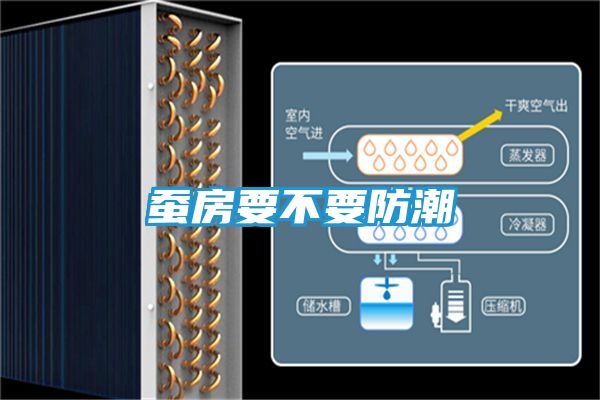 蚕房要不要防潮