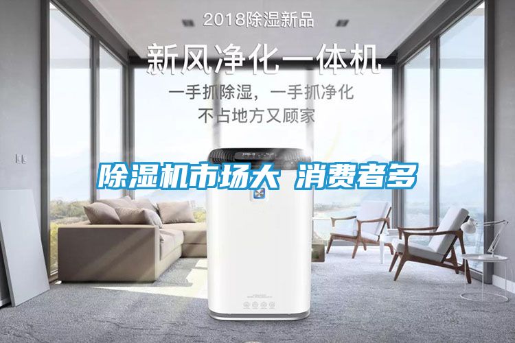除湿机市场大≠消费者多