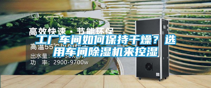 工厂车间如何保持干燥?选用车间除湿机来控湿