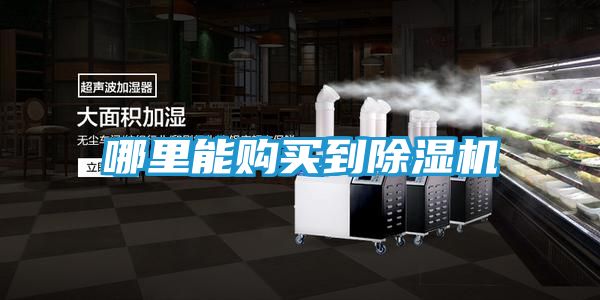 哪里能购买到除湿机