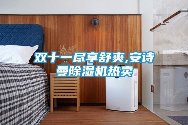 双十一尽享舒爽,安诗曼除湿机热卖