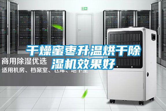 干燥蜜枣升温烘干除湿机效果好