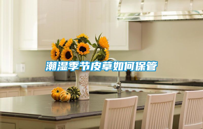 潮湿季节皮草如何保管