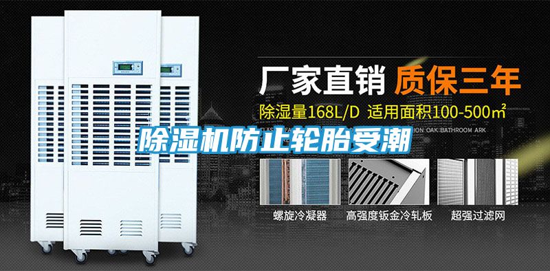 除湿机防止轮胎受潮