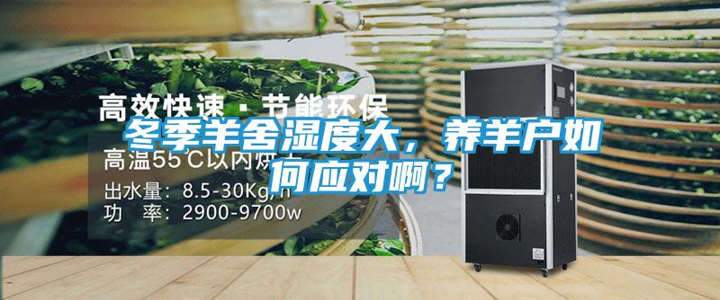 冬季羊舍湿度大，养羊户如何应对啊？