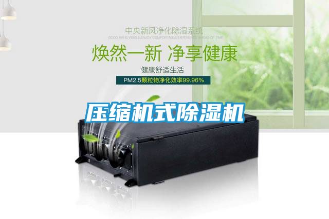 压缩机式除湿机