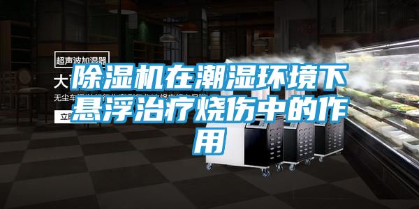 除湿机在潮湿环境下悬浮治疗烧伤中的作用