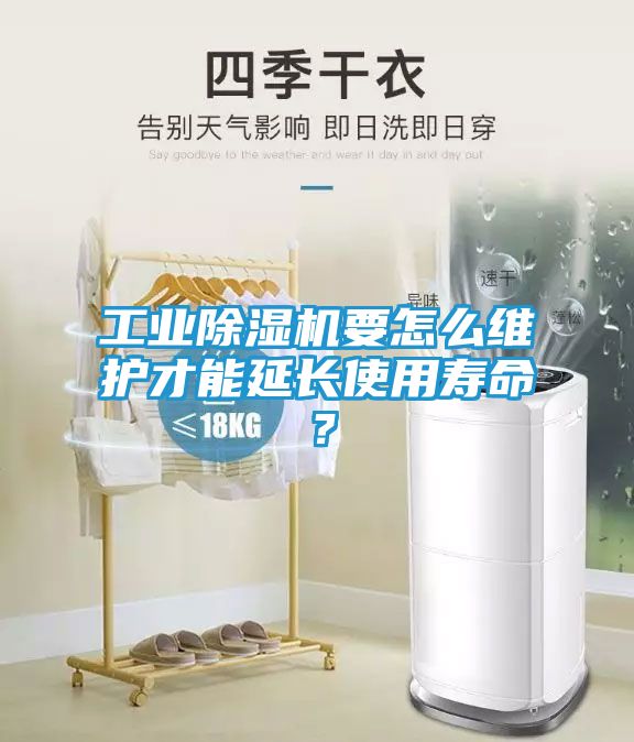 工业除湿机要怎么维护才能延长使用寿命？