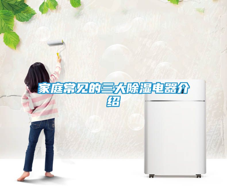 家庭常见的三大除湿电器介绍