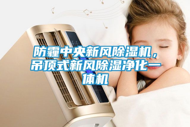 防霾中央新风除湿机，吊顶式新风除湿净化一体机