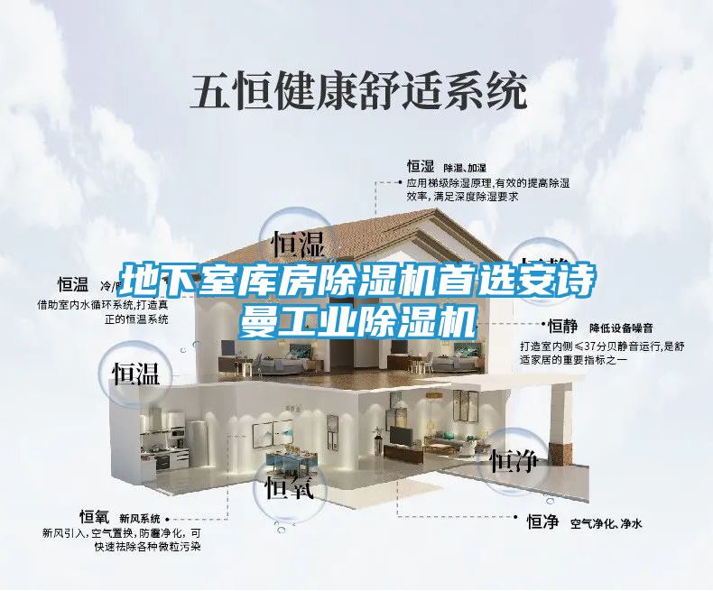地下室库房除湿机首选安诗曼工业除湿机