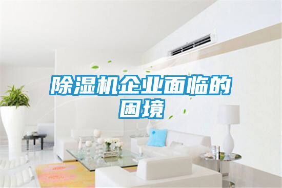 除湿机企业面临的困境