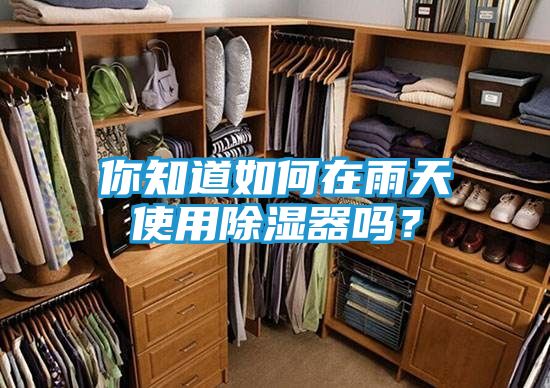 你知道如何在雨天使用除湿器吗？
