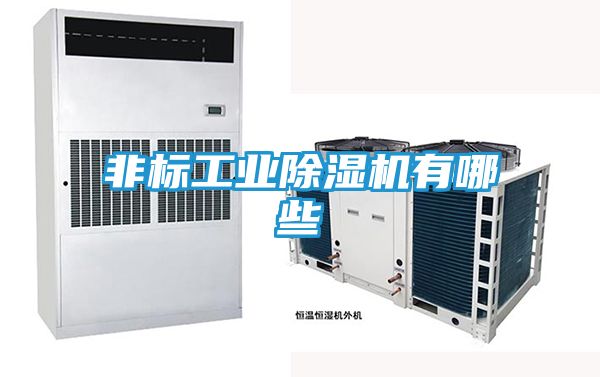 非标工业除湿机有哪些