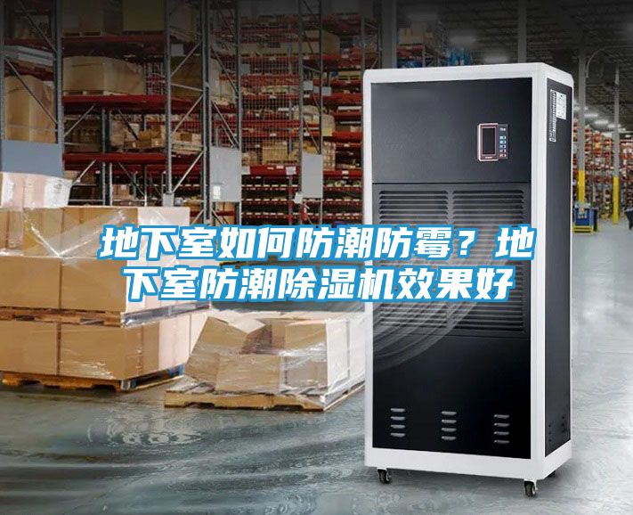 地下室如何防潮防霉？地下室防潮除湿机效果好