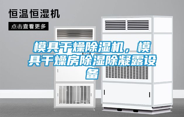 模具干燥除湿机，模具干燥房除湿除凝露设备