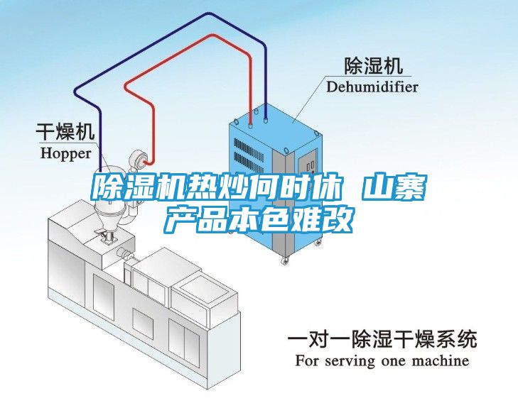除湿机热炒何时休 山寨产品本色难改