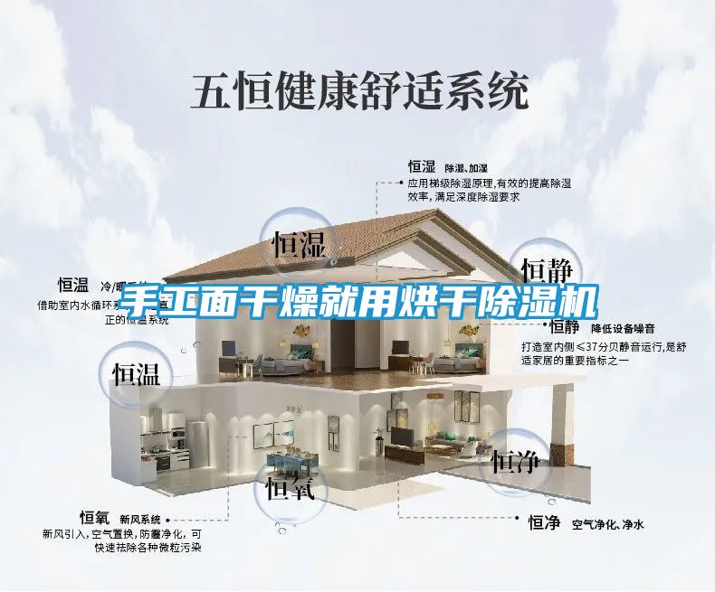 手工面干燥就用烘干除湿机