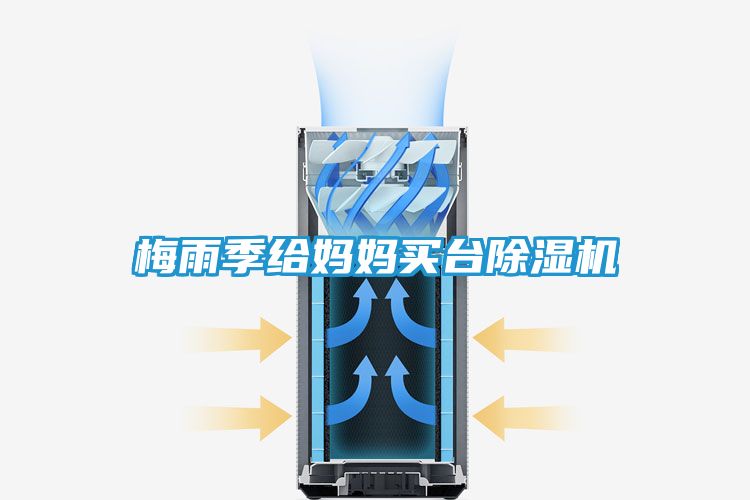 梅雨季给妈妈买台除湿机